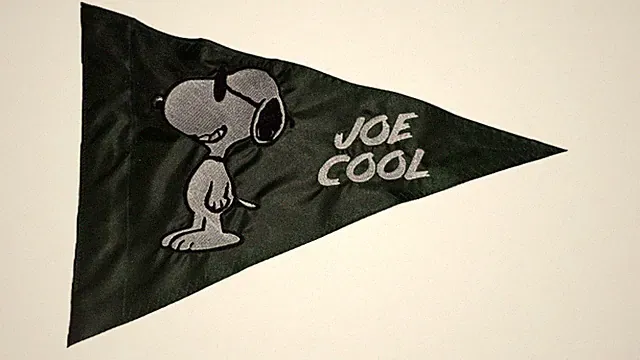 12"x18" Snoopy Triangle Safety Flag Recumbent Trike Bicycle Kayak ATV boat UTV