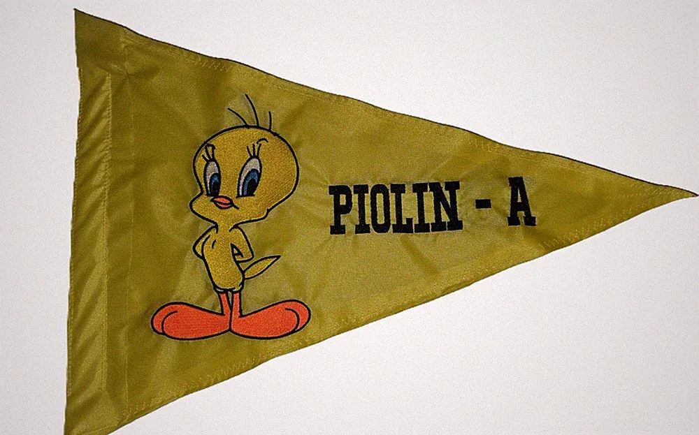 Personalized Tweety Pennant Safety Flag Recumbent Trike Bicycle UTV 12x18