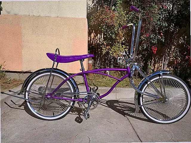 Purple 20" Cruiser Lowrider Bike 144 Spokes Coaster Brake Twisted Chainguard