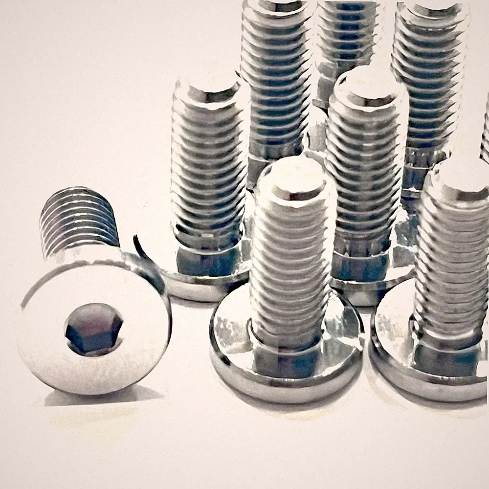 Titanium Ti M5 x 12mm Bicycle Water Bottle Bolts X10 - Bikepacking & Gravel Bike